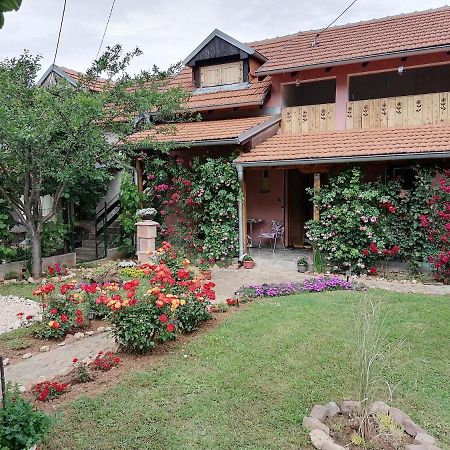 Apartman Mika Soko Banja Exterior photo