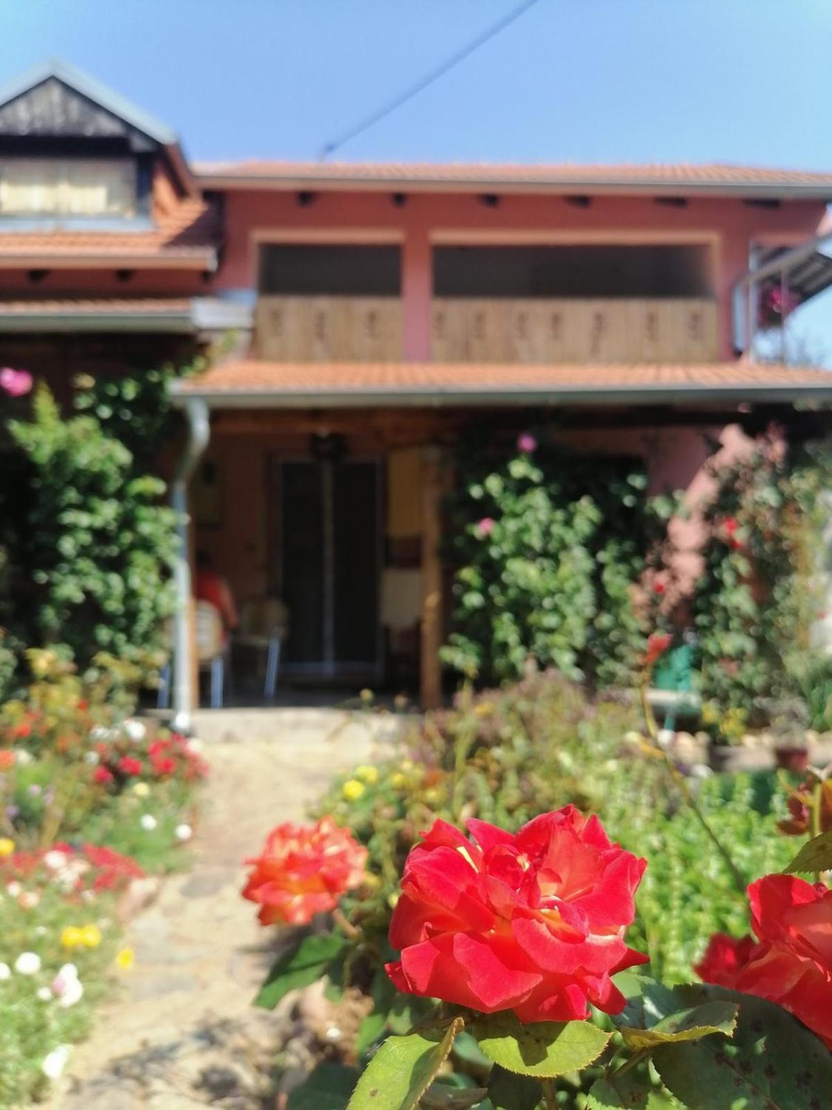 Apartman Mika Soko Banja Exterior photo