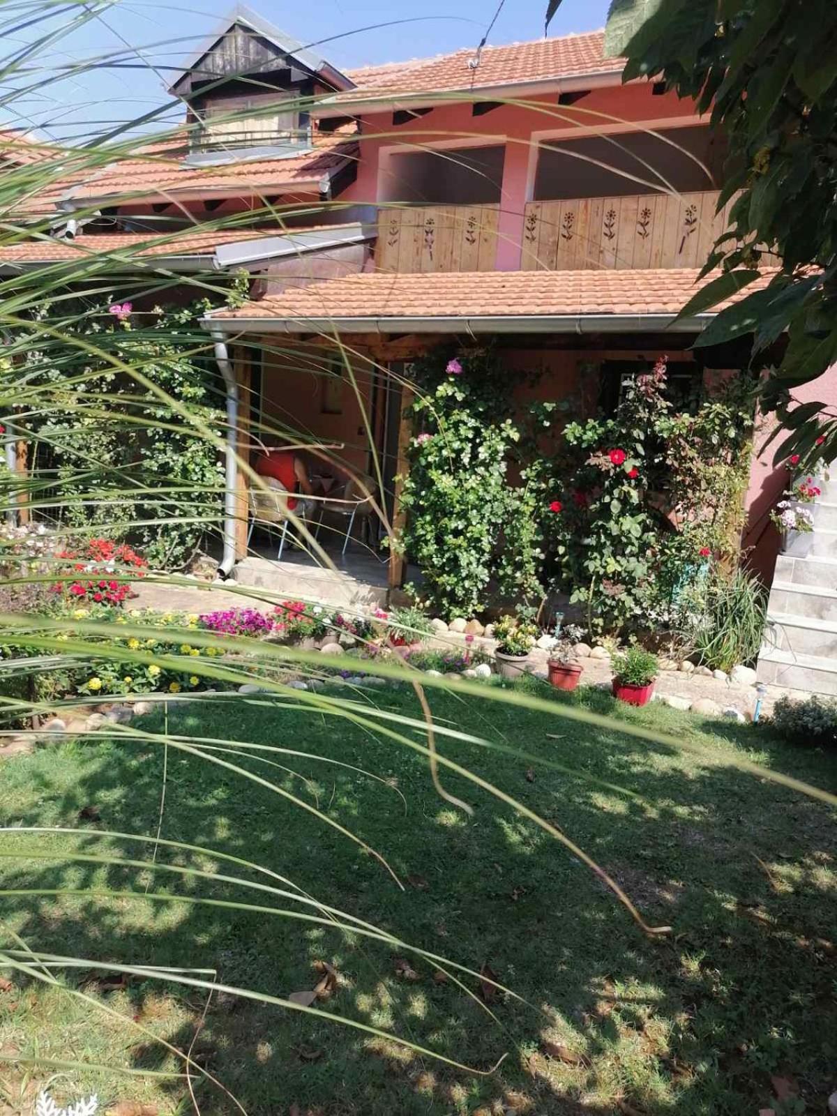 Apartman Mika Soko Banja Exterior photo